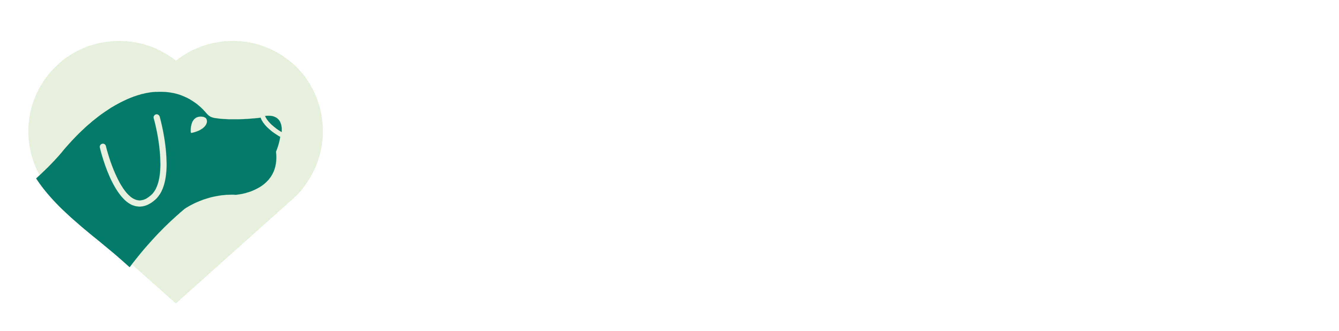 Hund im Herz - Hundeschule Hopfgarten