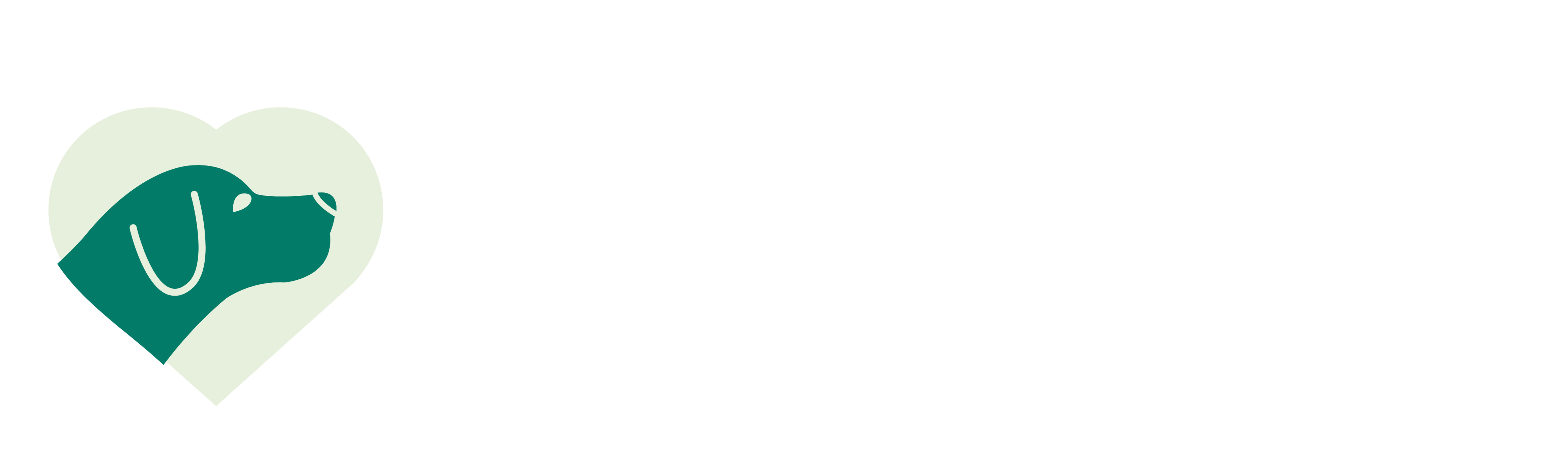 Hund im Herz - Hundeschule Hopfgarten